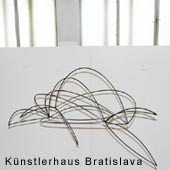 kachel_bratis.jpg